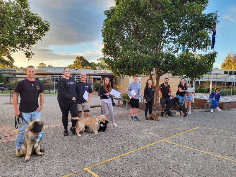 Dog Training Melbourne Melbourne Dog Training School