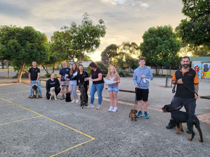 Dog Training Melbourne Melbourne Dog Training School