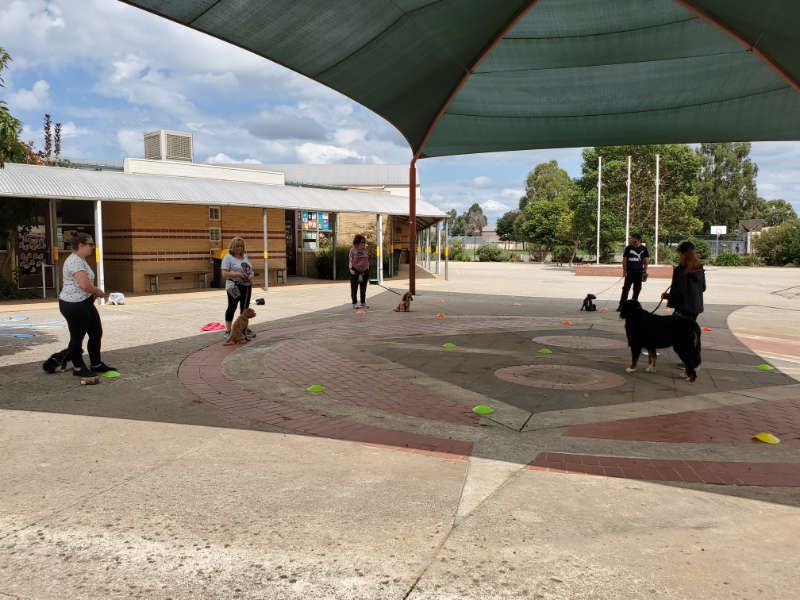 Dog Training Melbourne Melbourne Dog Training School