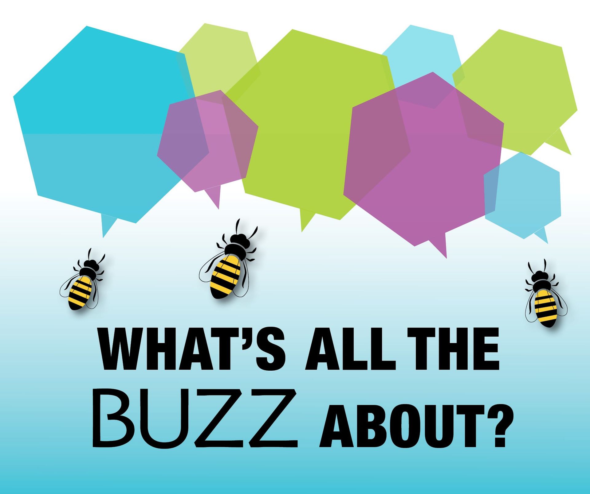 Apis bee mascots with hexagon shaped chat bubbles saying, What's all the buzz about?