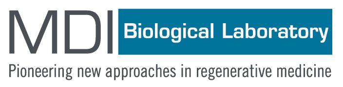 MDI Biological Laboratory logo. Text reads,