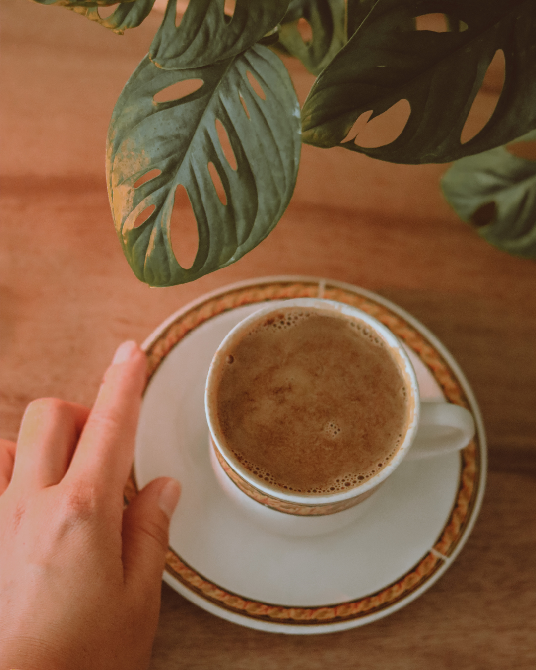 Hand reaching toward a cup of coffee on a saucer beside green leaves