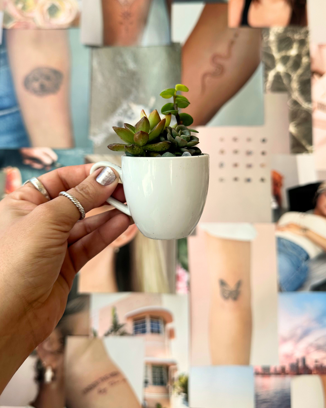 Hand holding a tiny succulent in a white pot before a collage of tattoo photos