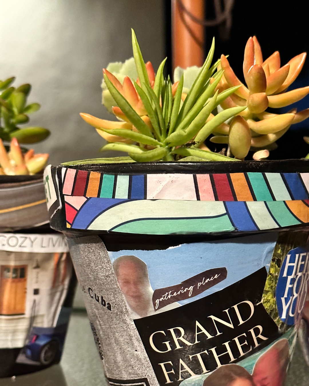 Colorful succulent in a decorated pot with “Grandfather” label and a partially visible candle beside it