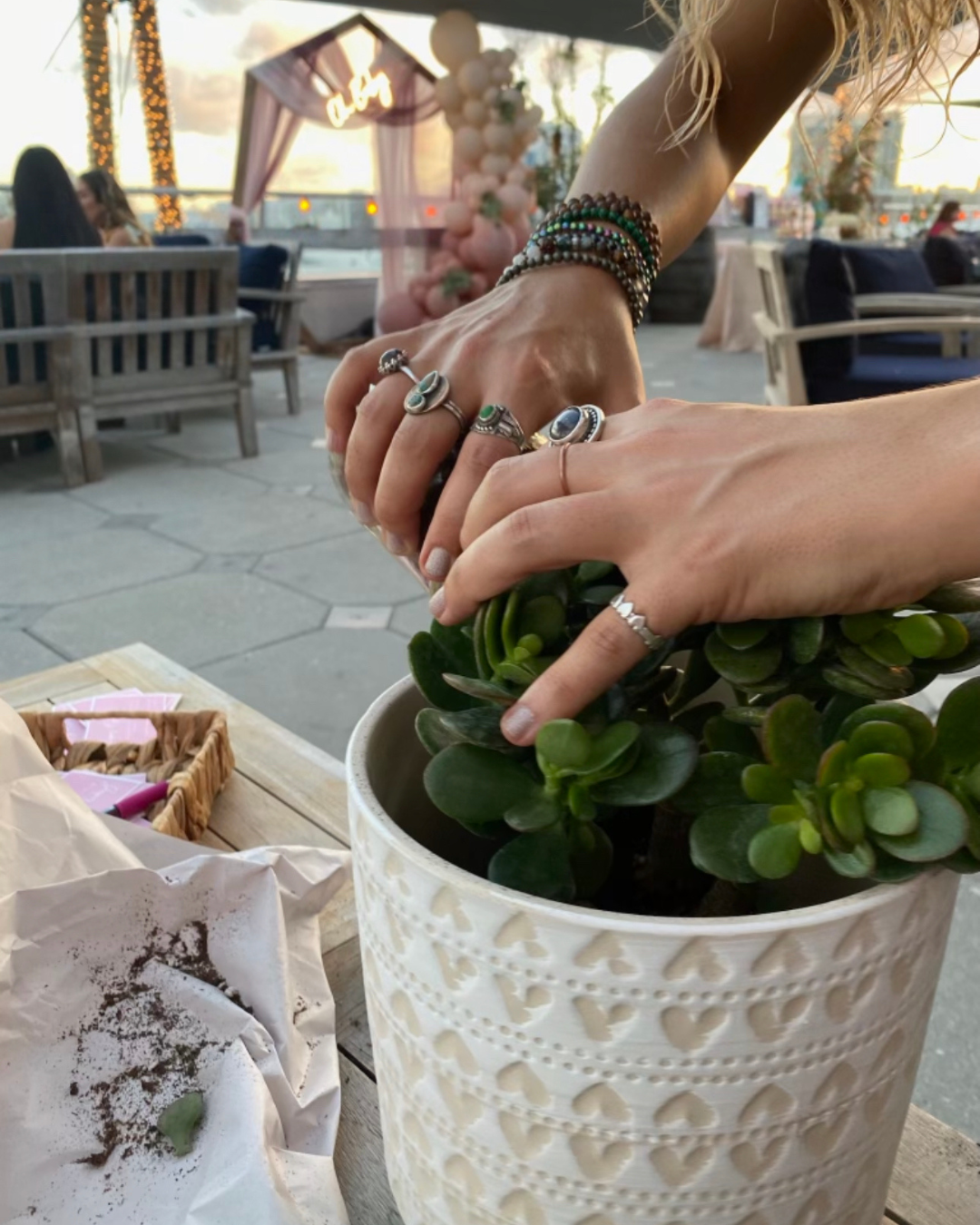 Hands arranging a potted succulent in a white textured planter on a patio table