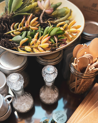 Succulents in a shallow dish beside glass jars and wooden utensils on a rustic tabletop