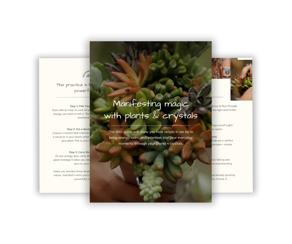 Book cover with succulent arrangement and white title text, flanked by two interior pages