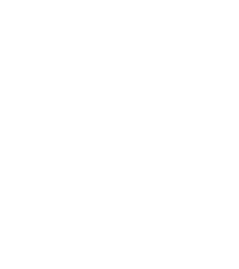 Chaos JiuJitsu