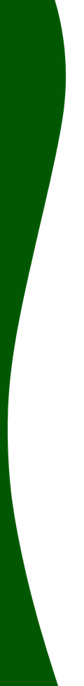 Forma d'onda verticale verde su sfondo bianco.