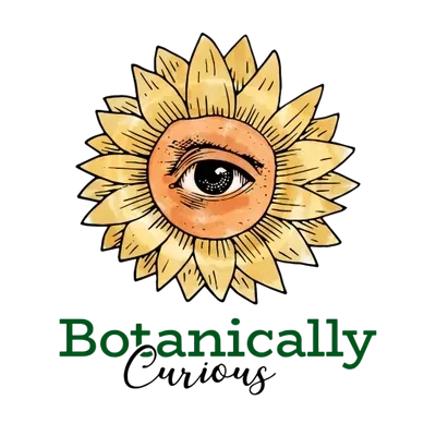 The logo for botanically curious shows a sunflower with an eye in the center.