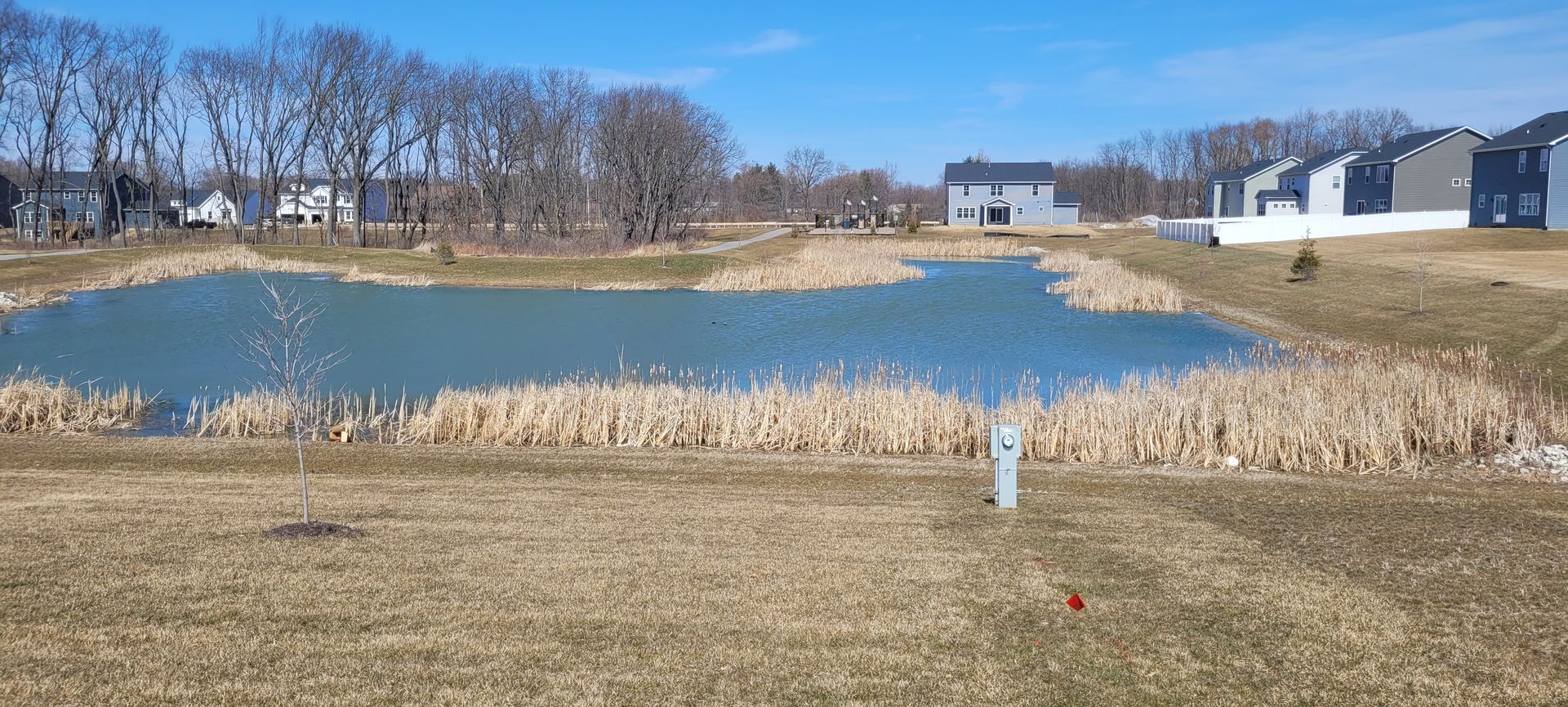 Cattail— Chesterton, IN — Lake & Pond Biologists LLC Cattail— Chesterton, IN — Lake & Pond Biologists LLC