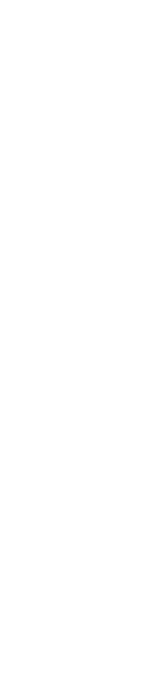 Mostly white image with a thin vertical black line near the center-left.
