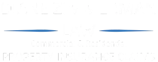 Diane Zimmerman Law logo