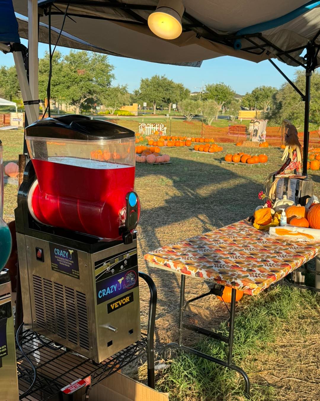 Slushie Machine Rentals League City, Texas Crazy J Margarita Rental