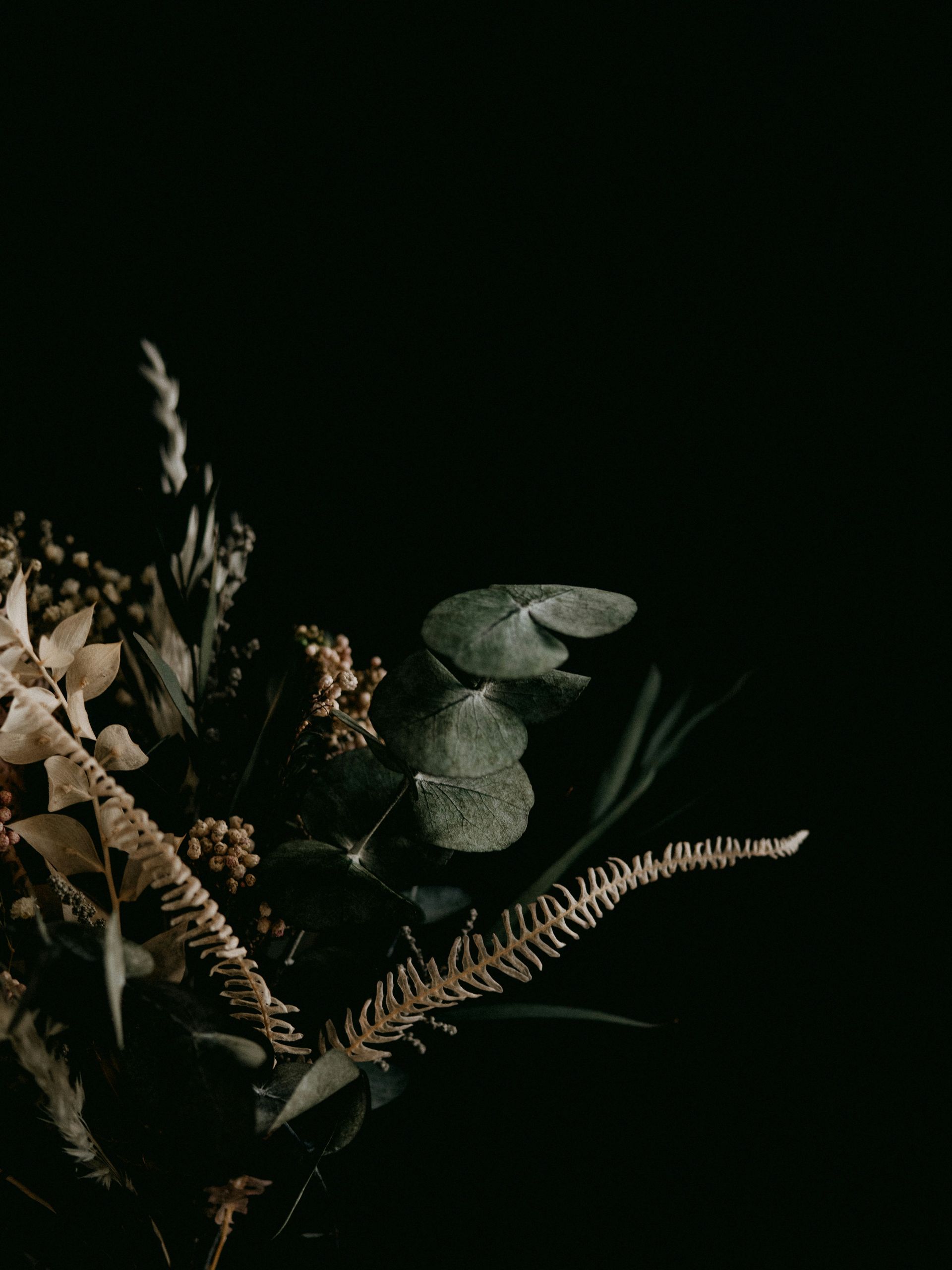 Dark botanical arrangement with dried flowers and green eucalyptus leaves on a black background