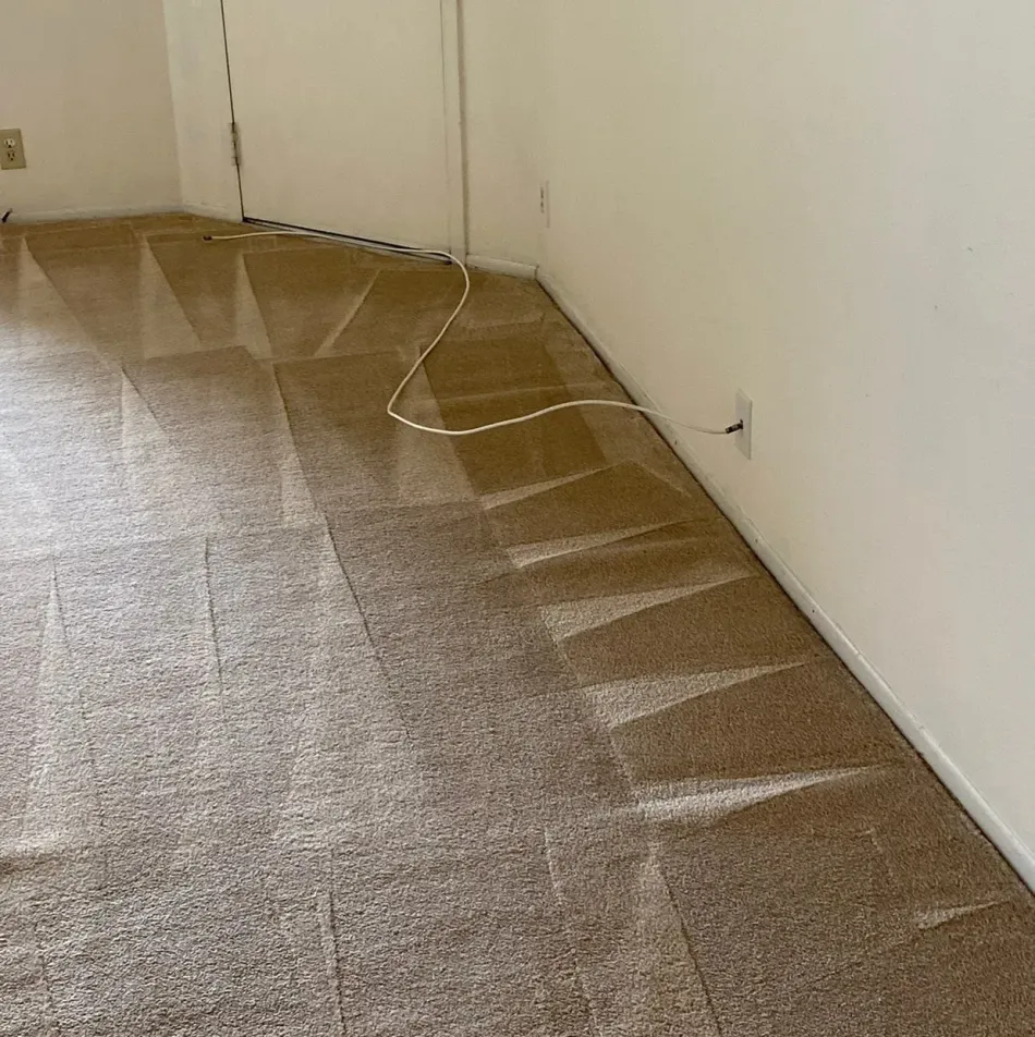 Empty carpeted room with sunlight casting triangular shadows along the wall and floor