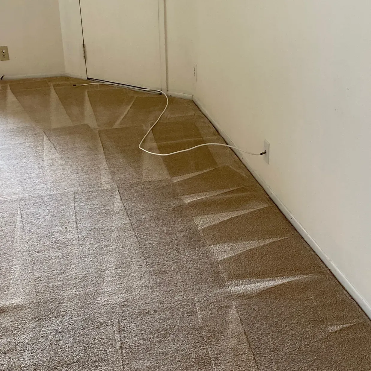 Sunlit empty room with brown carpet and a white cable along the wall