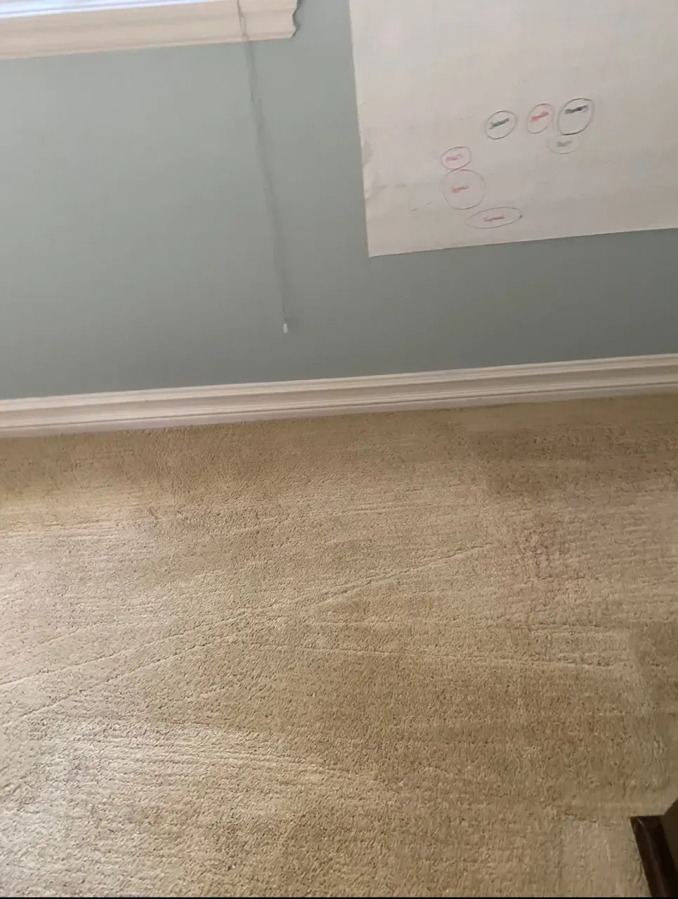 Carpeted room corner with light gray walls and a white outlet cover plate.