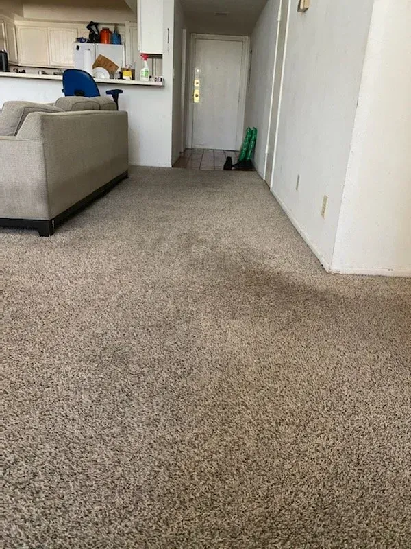 Carpeted hallway with a beige couch, white walls, and a small shelf in the background.