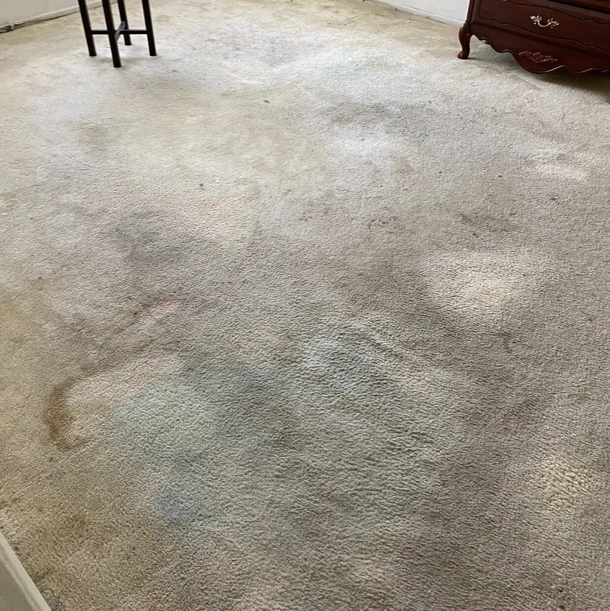 Close-up of a beige carpet with a large damp stain near furniture edges