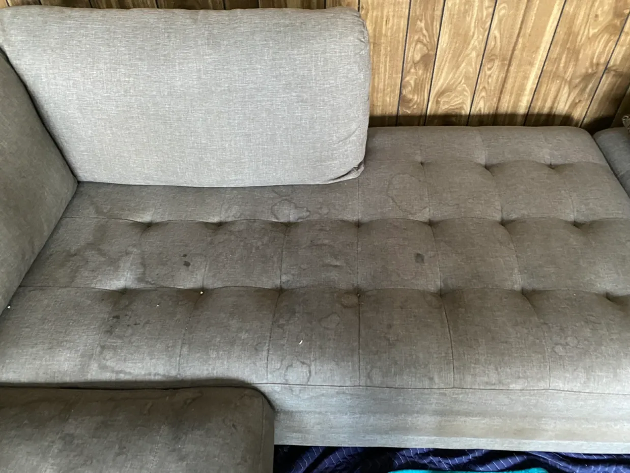 Gray tufted sofa with a light gray cushion against a wood-paneled wall.