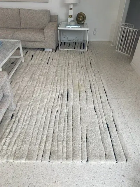 Living room with a large white textured rug, beige sofa, and small side table.