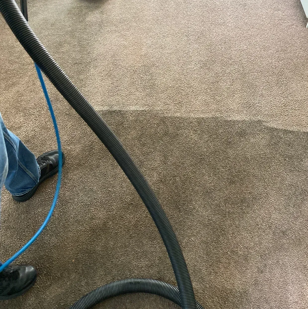 Carpet cleaning hoses on a beige carpet next to a worker’s shoe and blue cable