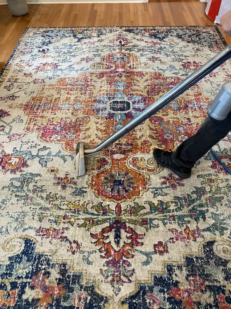 Vacuum cleaner on a patterned rug in a room with wood flooring
