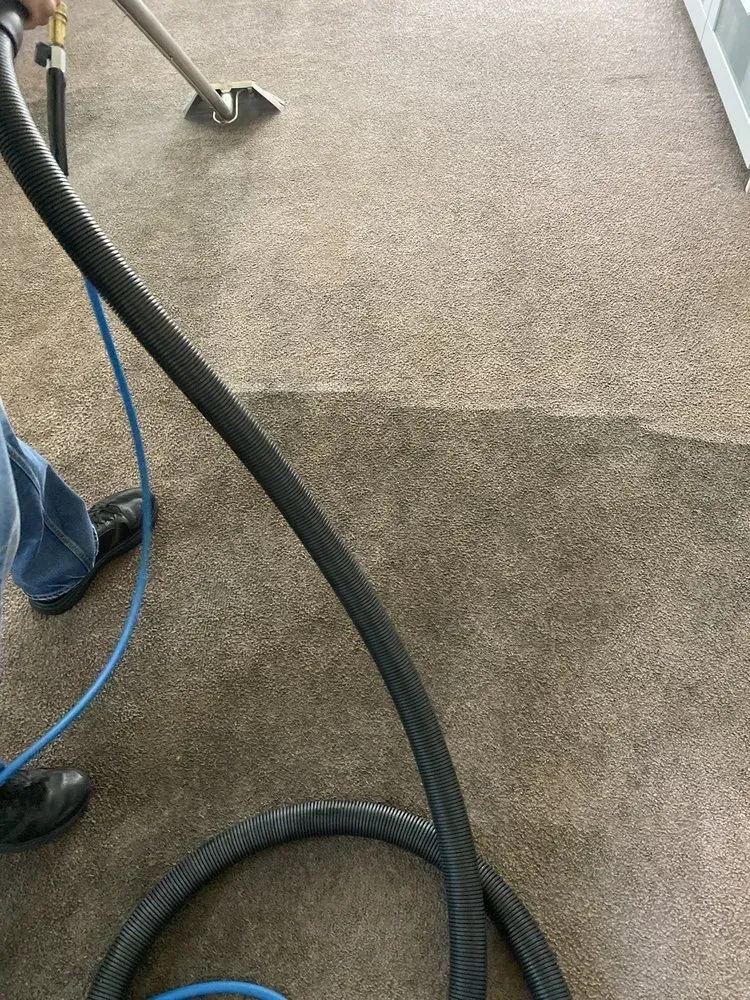 Vacuums hose and cleaning equipment on a carpeted floor with a person’s legs partially visible