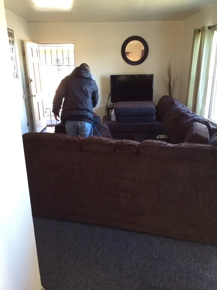 Person vacuuming a living room with a brown sectional sofa and TV.