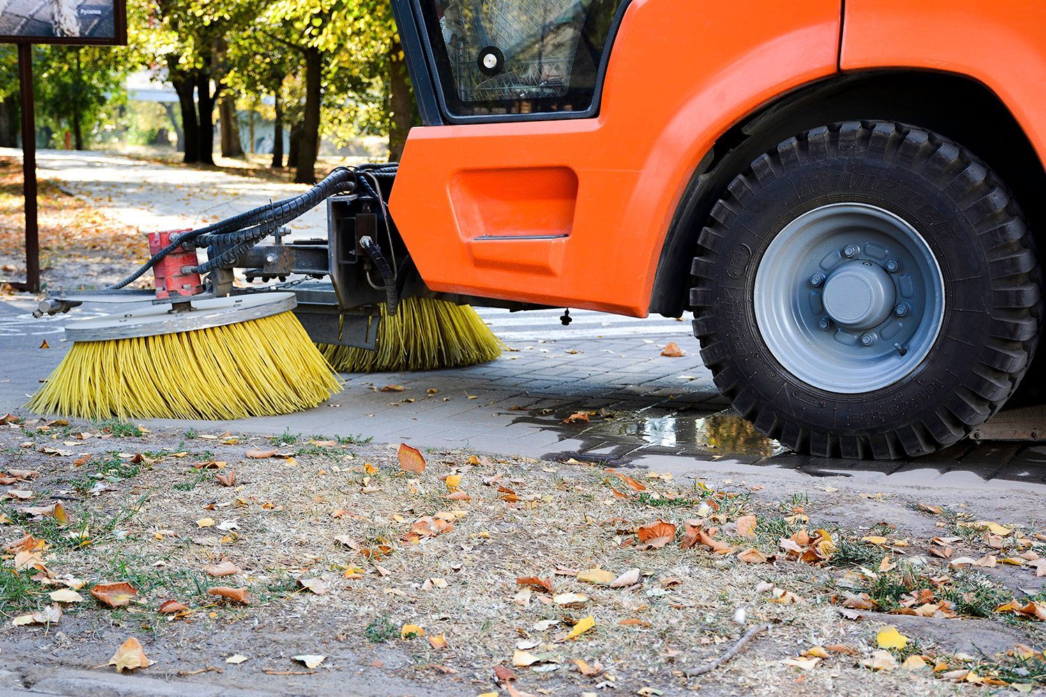 Orange street sweeper with yellow brushes cleaning leaves on pavement.