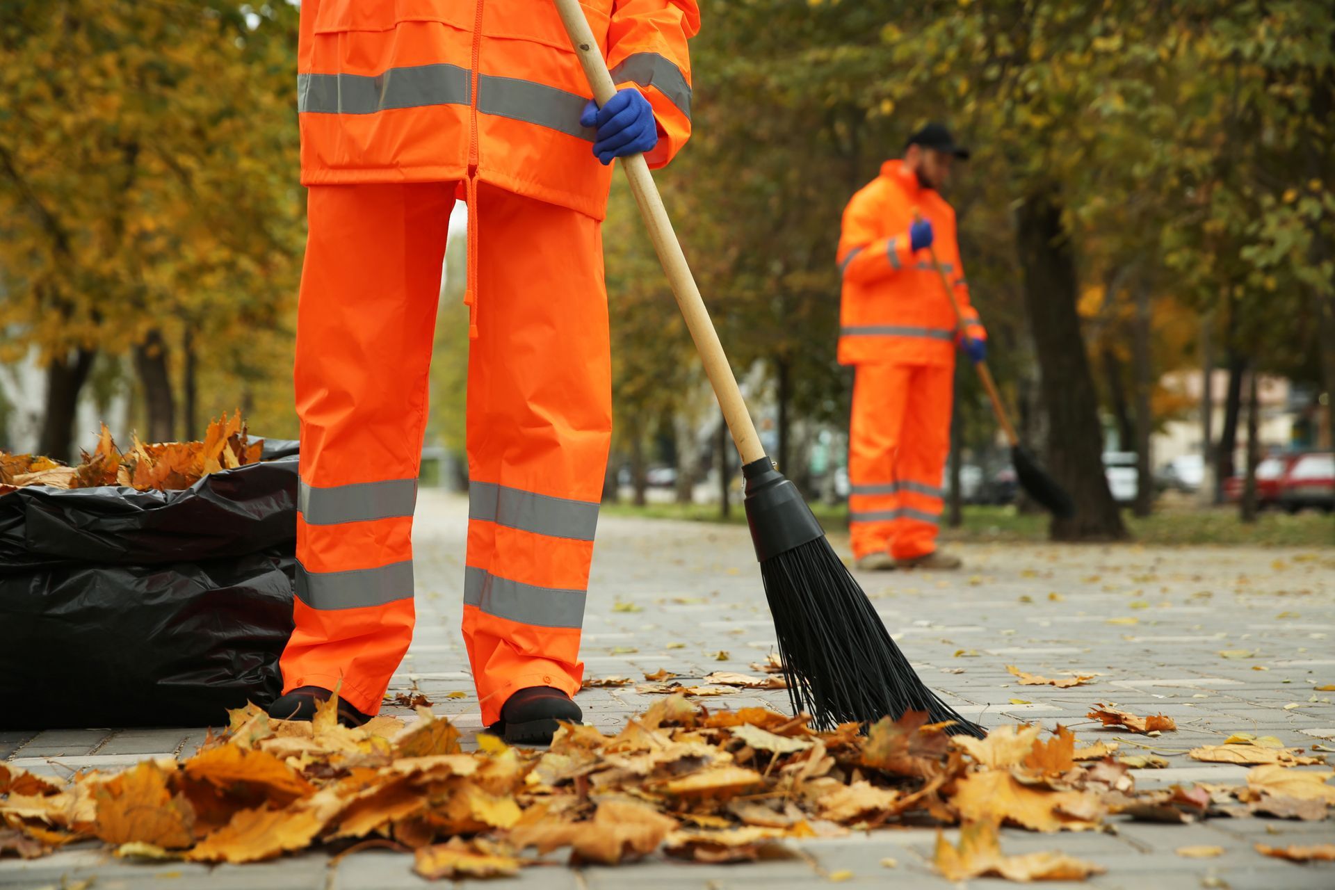 Street cleaners sweeping fallen leaves on the street. Street cleaners sweeping fallen leaves on the street.