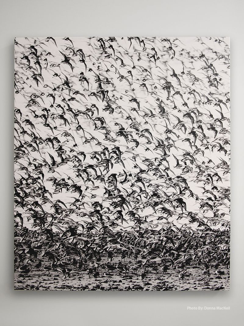 A black and white painting of a flock of birds flying in the sky.