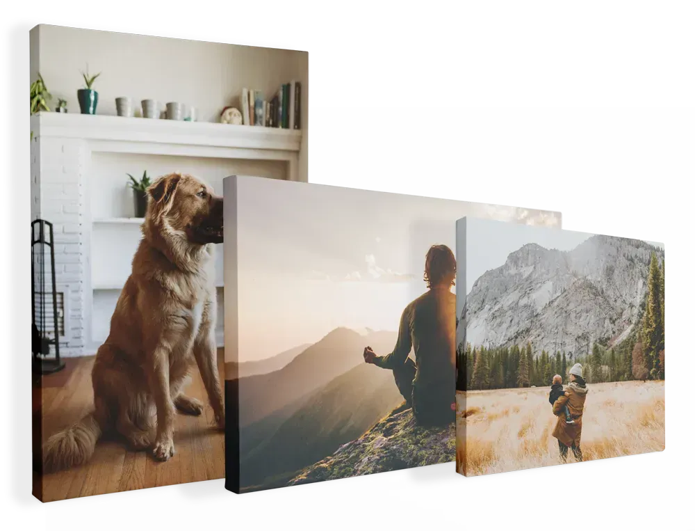 Canvas Wraps & Prints image
