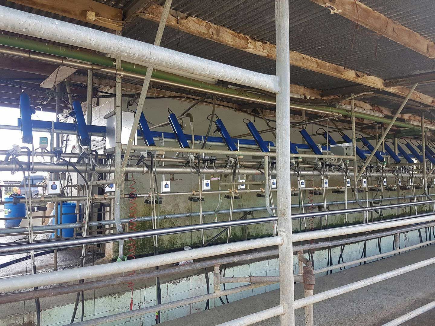 Industrial dairy barn with rows of milking stalls Industrial dairy barn with rows of milking stalls