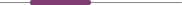 A thin gray horizontal line interrupted by a single, solid dark purple rounded rectangle in the center.