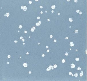 FLG-451 White Crystals 8/20 Mesh