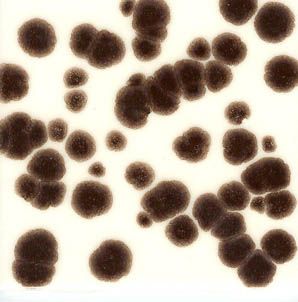 Brown Crystals