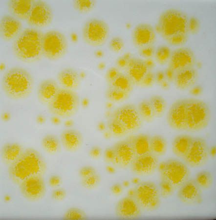 Yellow Crystals