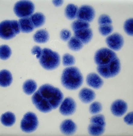 Blue Crystals