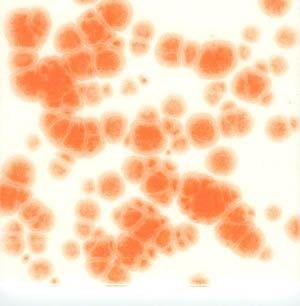 Orange Crystals