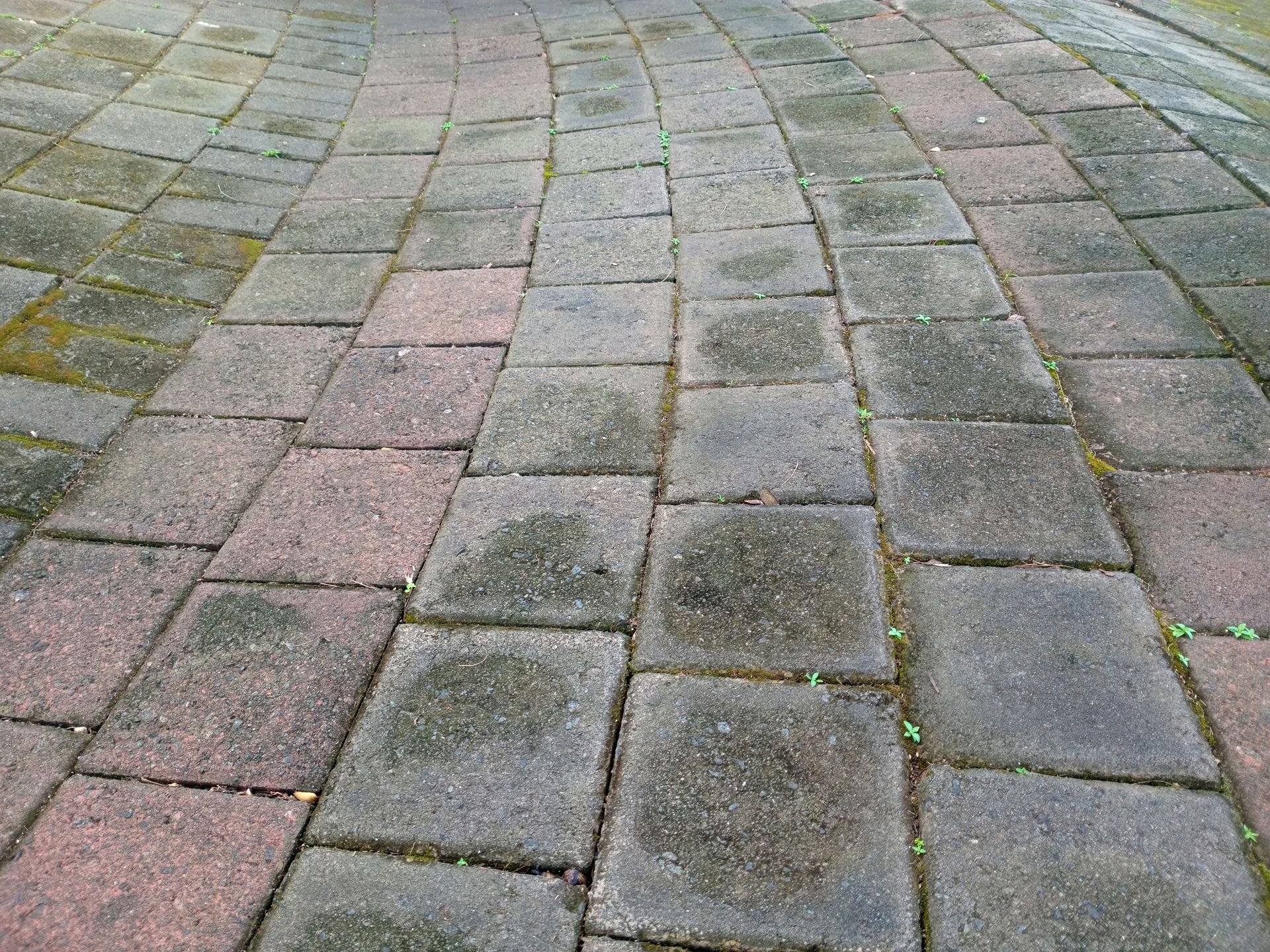 Wet stone pavement with gray and pink cobblestones, viewed from above