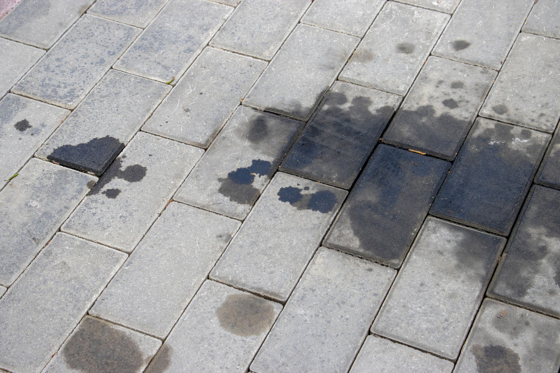 Wet gray sidewalk pavers with dark water stains and a few puddles.