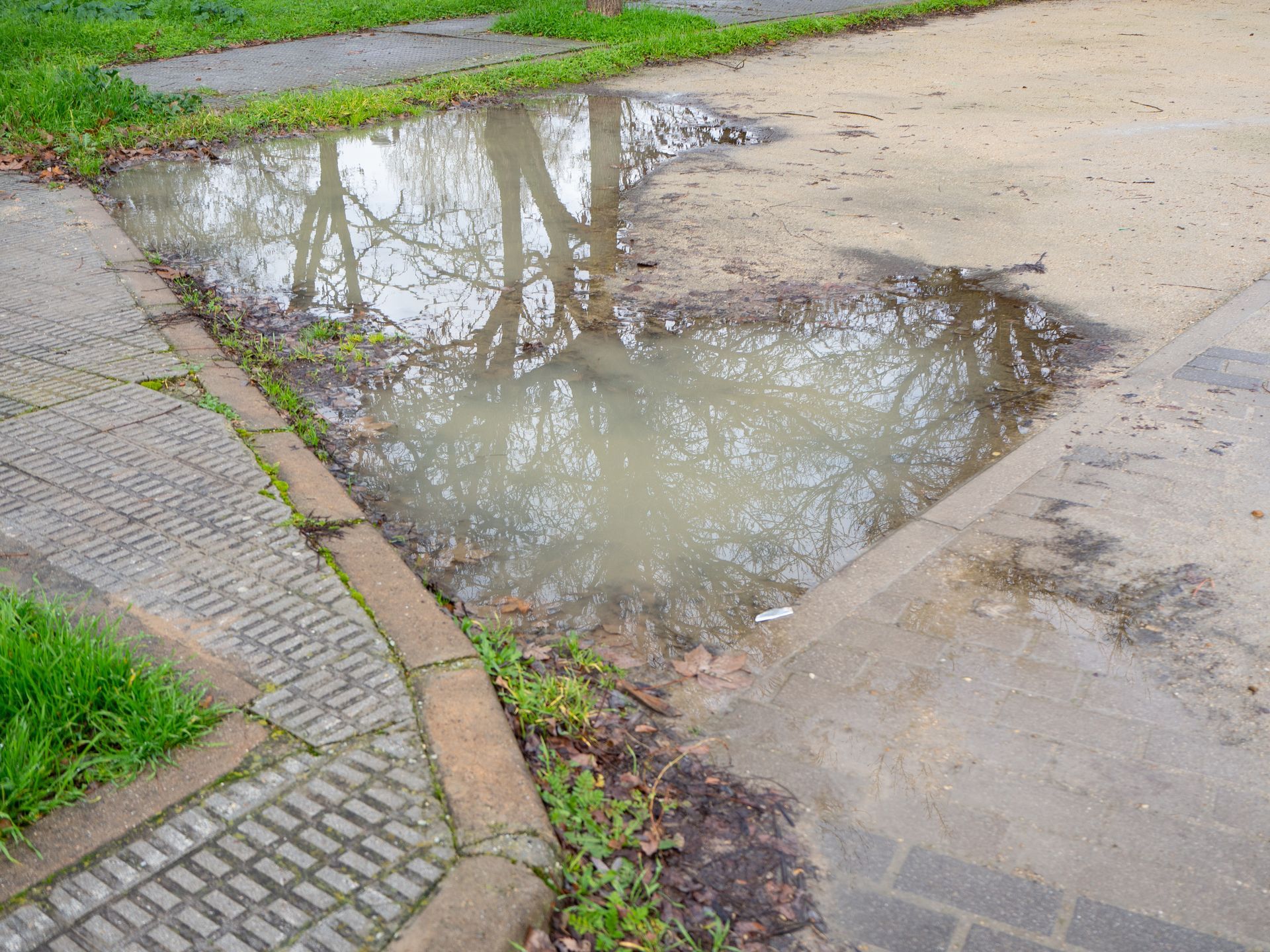 Puddles of muddy water beside a paved path and grass, reflecting trees after rain