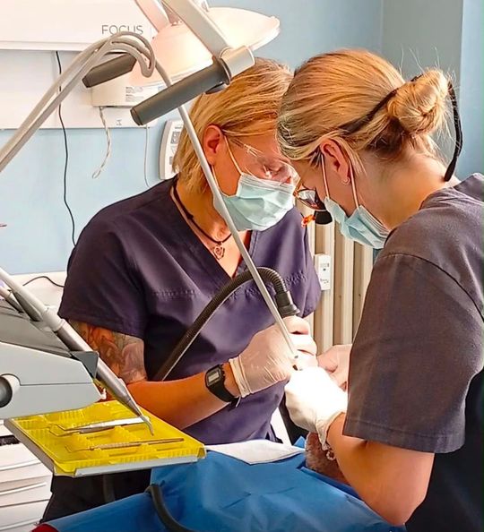 Endodonzia