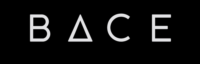 BACE Construction Consultants logo