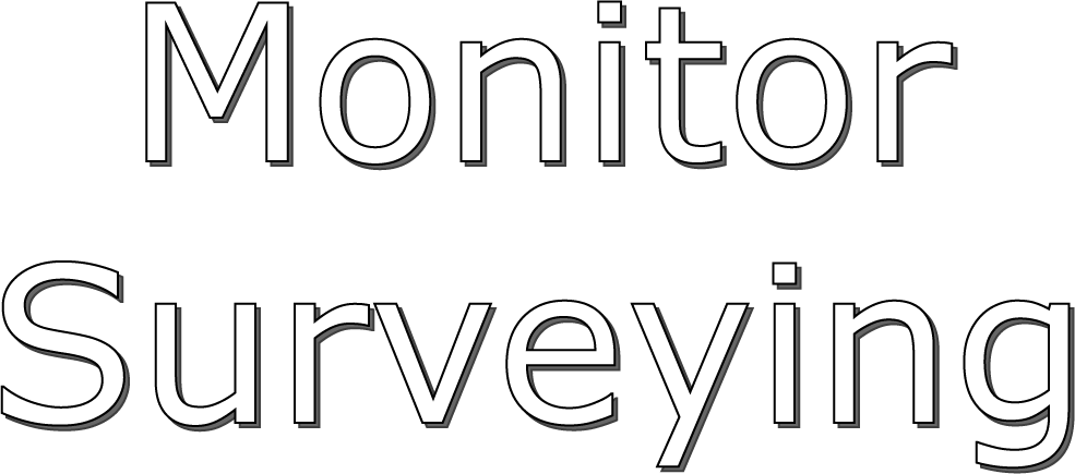 monitoring surveyors