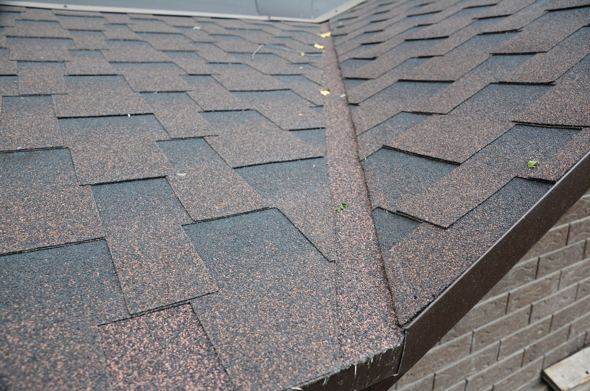 Close-up of a shingled roof with a visible ridge seam and gutter edge, showing a leak stain.