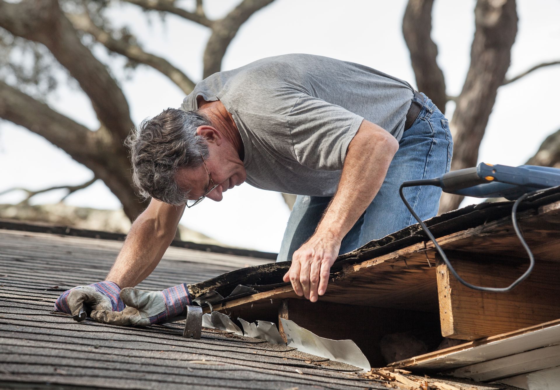 Man repairing a roof, leaning over shingles with tools on a ladder near tree branches