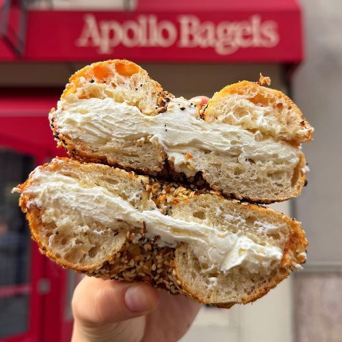 Everything bagel with plain cream cheese from Apollo Bagels in East Village